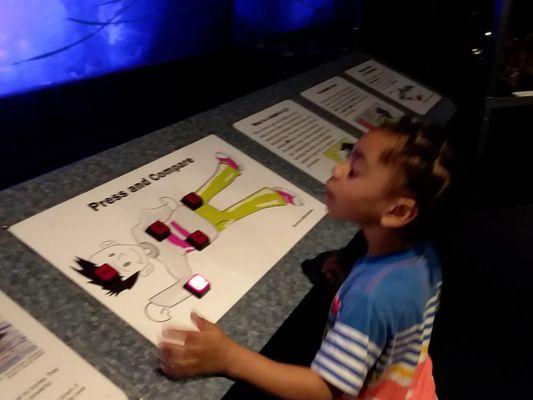 Leep Love Essential Educational Program