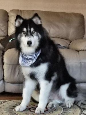 Christine Bentancourt - RE/MAX Elite