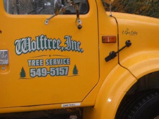Wolftree, Inc
