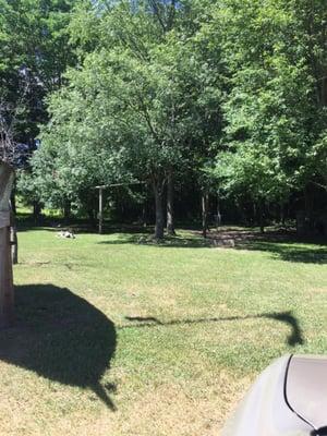 Flip City Disc Golf Course