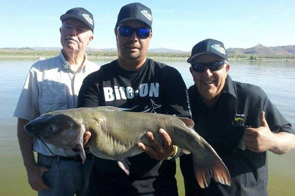 Bite-ON Fishing attractants