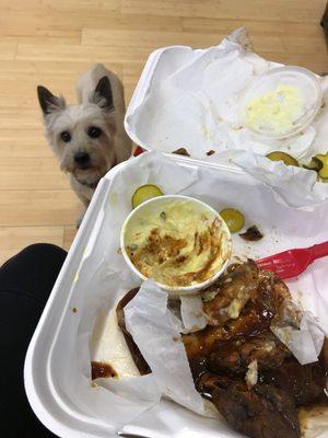 My doggie was jealous.