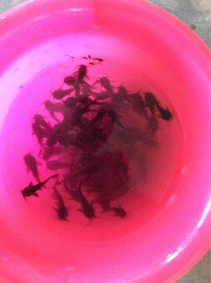 Rhinehart Excavating