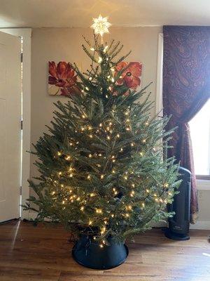 West Brook Tree Farm