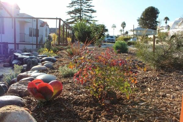 Water wise landscape design, a great front yard landscaping idea!
