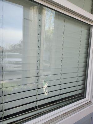 E's Window Cleaning Service