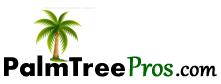 palm tree service