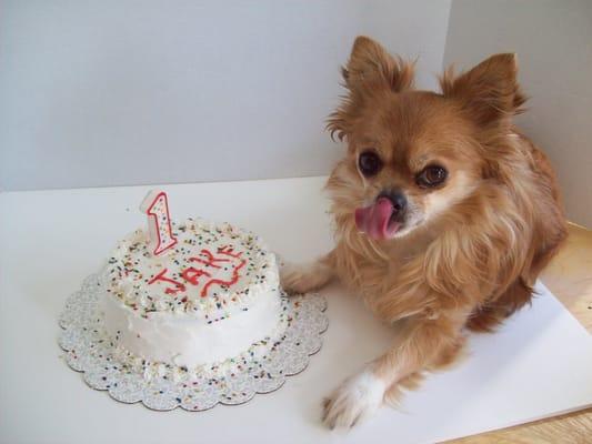 Carlleen's K9 Cuisine