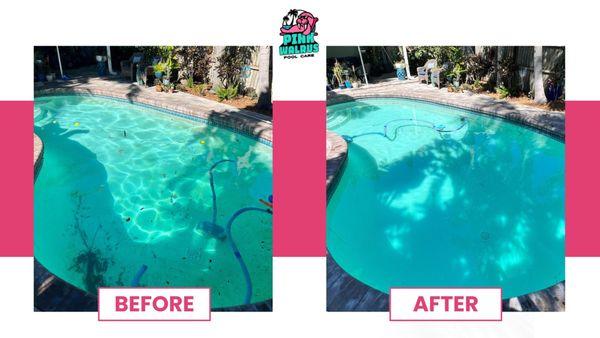 Pink Walrus Pool Care