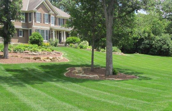 All Out Landscaping