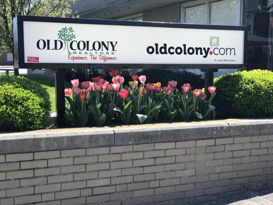 Old Colony - Charleston