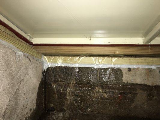 New England Bulkhead