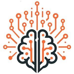 Silver Synapses Agency