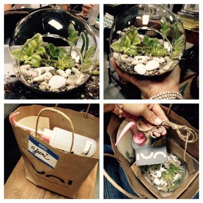 $35 Terrarium Kit...hope to keep them alive! ;)