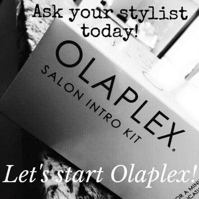 Bellissimo Salon & Gallery