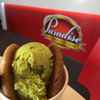 Green tea between white chocolate cookies