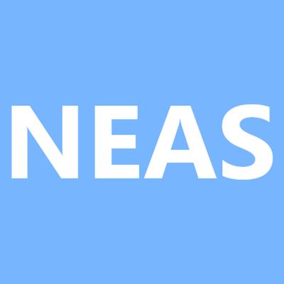 New Eastern Accountancy Service