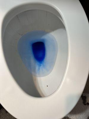 Ritchie Commercial Cleaners