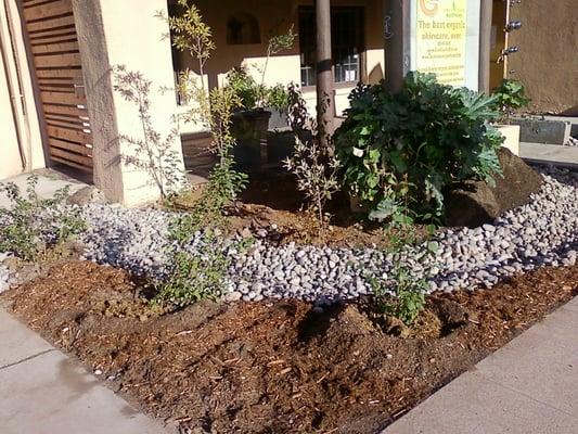 JDDS Design Services