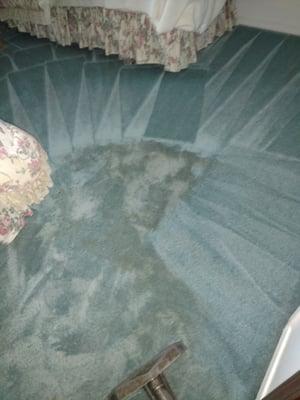 Moores Carpet & Janitorial Services