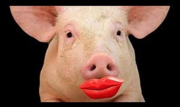 Meadow Property Management