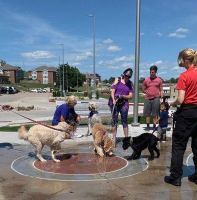 Level 3 obedience class travels to real world locations to practice with distractions.