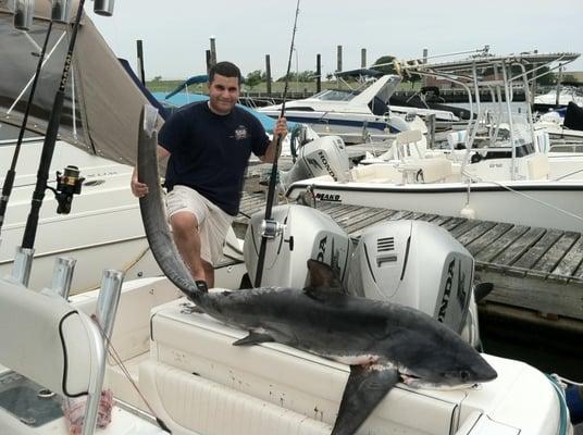 Sharks run off the beach the first 2 weeks in July