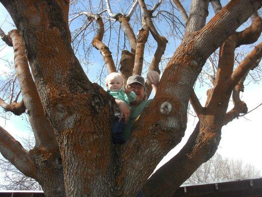 Hamm Family Tree Care & More