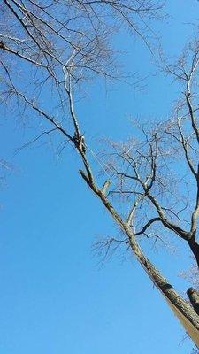 Renewal Property Maintenance