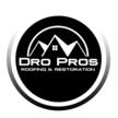 Dro Pros Roofing & Restoration