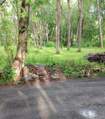 Riverside Rv Campground