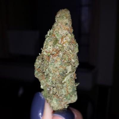 Headcheese exclusive at SoWa