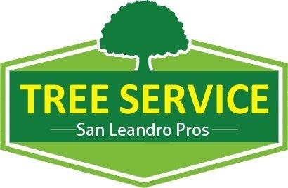 Tree Service San Leandro Pros