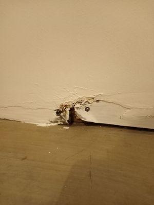 This is the *new* sheetrock against the floor. What even is this?