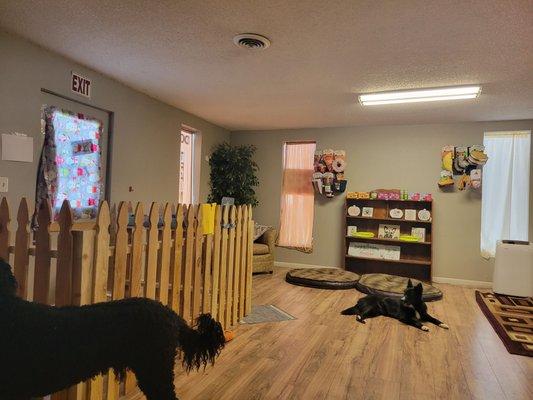 Lucky River Dog Training and Day Care