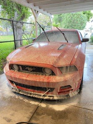 Carreno Mobile Detail