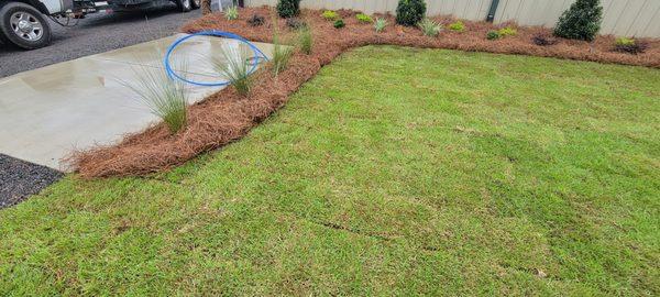 New Sod and Flower Beds