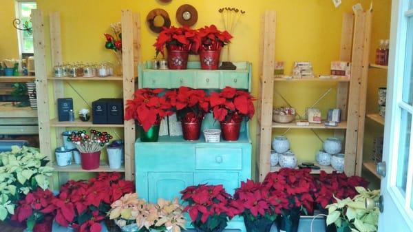Palm Harbor Florist