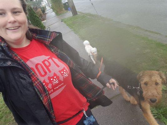 A Better Way Dog Walking