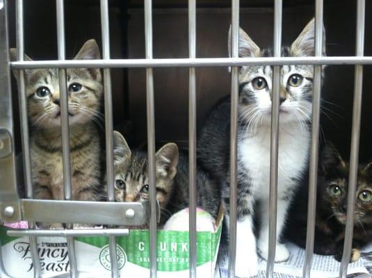 Franklin Township of