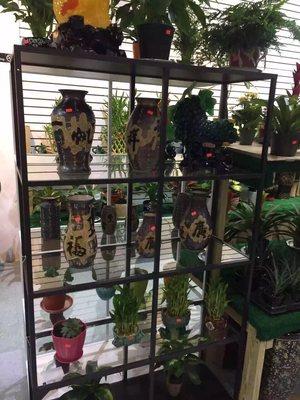 Home decoration and plants