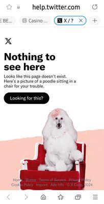 Fantasy Stars VIP Club Nfts & More