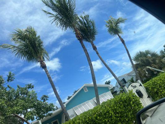 Mcgreevy Landscaping