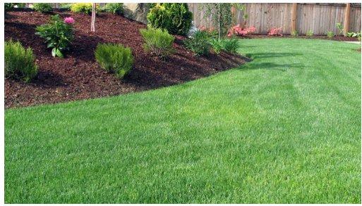 SG Gardening Services