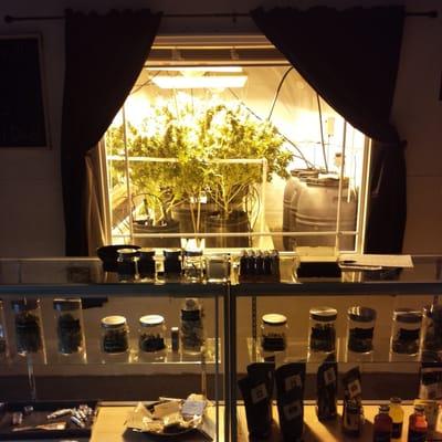 This what it looks like