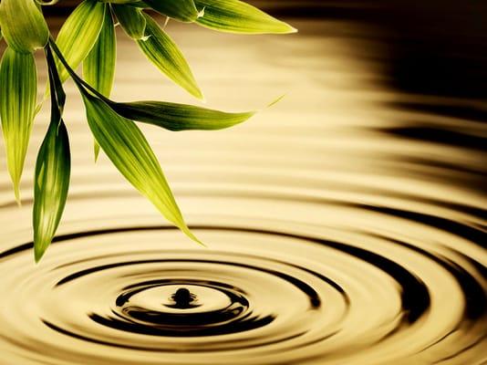 Santa Fe Wellness Center