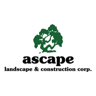 Ascape Landscape & Construction