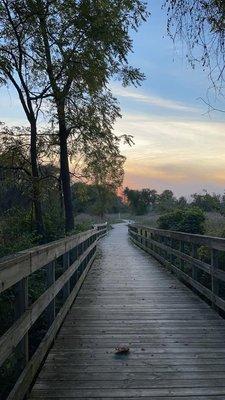 Boardwalk section of Beyer Farm Trail