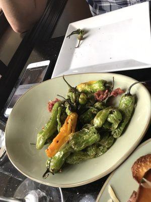 Blistered shishito...so good!