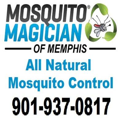 Mosquito Magician of Memphis